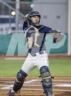 Photo from the gallery "Strawberry Crest @ Sumner"