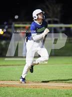 Photo from the gallery "Strawberry Crest @ Sumner"
