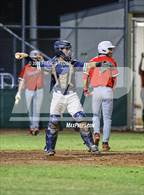 Photo from the gallery "Strawberry Crest @ Sumner"