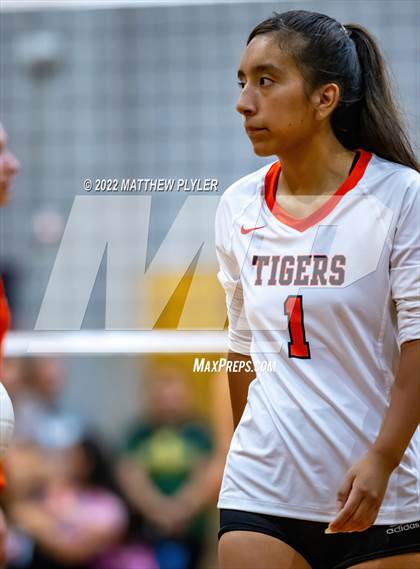 Thumbnail 2 in South View vs Triton (Jack Britt's 19th Annual Volleyball Jamboree)(scrimmage) photogallery.