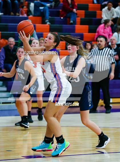 Thumbnail 1 in Danville Girls Basketball (Extending the Season) photogallery.