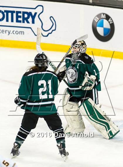 Thumbnail 2 in Austin Prep vs Arlington Catholic (MIAA Division 1 Final) photogallery.