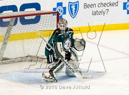 Thumbnail 1 in Austin Prep vs Arlington Catholic (MIAA Division 1 Final) photogallery.