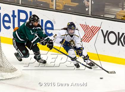 Thumbnail 3 in Austin Prep vs Arlington Catholic (MIAA Division 1 Final) photogallery.