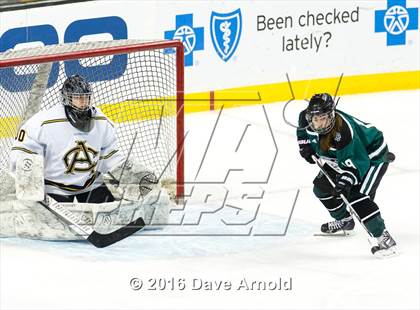 Thumbnail 1 in Austin Prep vs Arlington Catholic (MIAA Division 1 Final) photogallery.