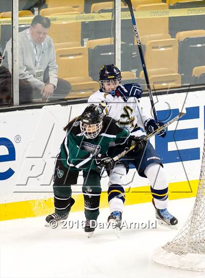 Thumbnail 3 in Austin Prep vs Arlington Catholic (MIAA Division 1 Final) photogallery.
