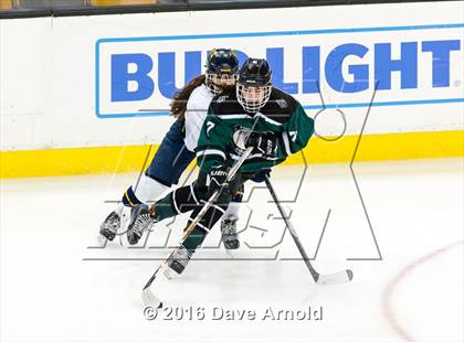 Thumbnail 3 in Austin Prep vs Arlington Catholic (MIAA Division 1 Final) photogallery.