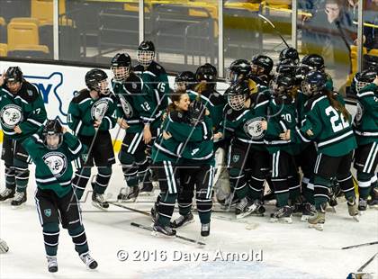 Thumbnail 1 in Austin Prep vs Arlington Catholic (MIAA Division 1 Final) photogallery.