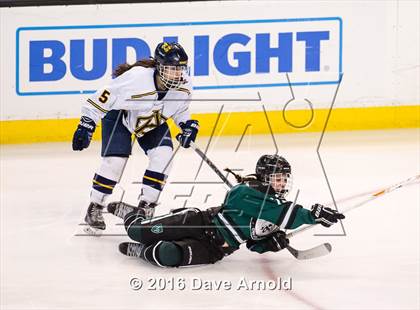 Thumbnail 1 in Austin Prep vs Arlington Catholic (MIAA Division 1 Final) photogallery.
