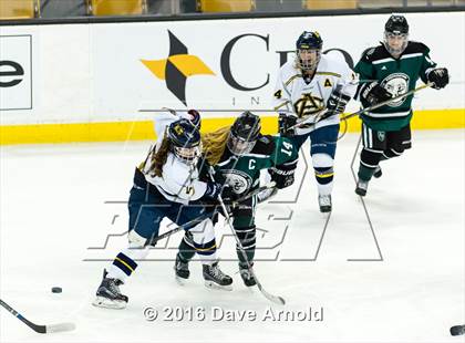 Thumbnail 3 in Austin Prep vs Arlington Catholic (MIAA Division 1 Final) photogallery.