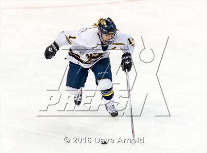 Thumbnail 3 in Austin Prep vs Arlington Catholic (MIAA Division 1 Final) photogallery.