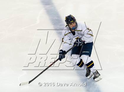 Thumbnail 3 in Austin Prep vs Arlington Catholic (MIAA Division 1 Final) photogallery.