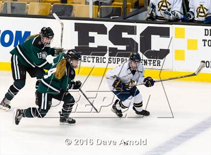 Thumbnail 2 in Austin Prep vs Arlington Catholic (MIAA Division 1 Final) photogallery.