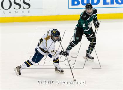 Thumbnail 1 in Austin Prep vs Arlington Catholic (MIAA Division 1 Final) photogallery.