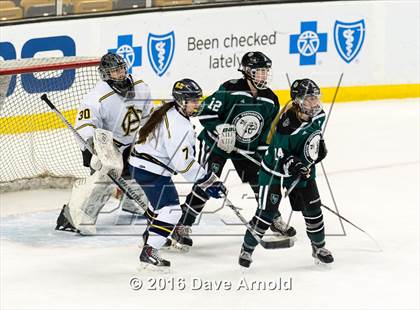 Thumbnail 3 in Austin Prep vs Arlington Catholic (MIAA Division 1 Final) photogallery.