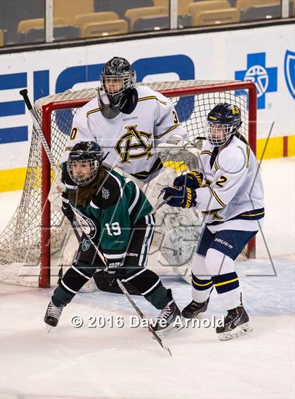 Thumbnail 2 in Austin Prep vs Arlington Catholic (MIAA Division 1 Final) photogallery.