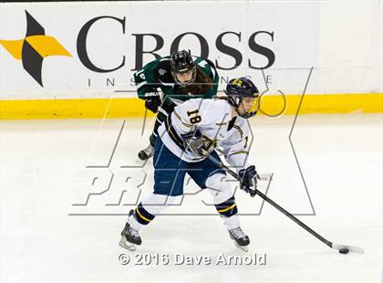 Thumbnail 2 in Austin Prep vs Arlington Catholic (MIAA Division 1 Final) photogallery.