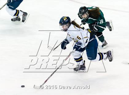 Thumbnail 1 in Austin Prep vs Arlington Catholic (MIAA Division 1 Final) photogallery.