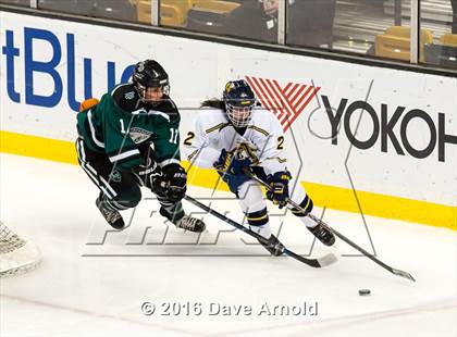 Thumbnail 1 in Austin Prep vs Arlington Catholic (MIAA Division 1 Final) photogallery.