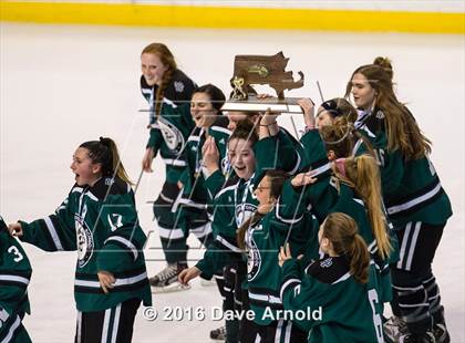 Thumbnail 1 in Austin Prep vs Arlington Catholic (MIAA Division 1 Final) photogallery.