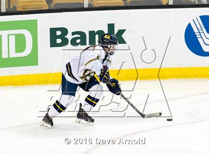 Thumbnail 2 in Austin Prep vs Arlington Catholic (MIAA Division 1 Final) photogallery.
