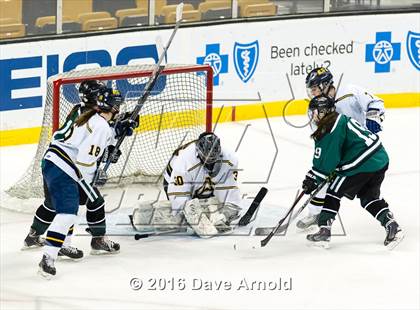Thumbnail 3 in Austin Prep vs Arlington Catholic (MIAA Division 1 Final) photogallery.