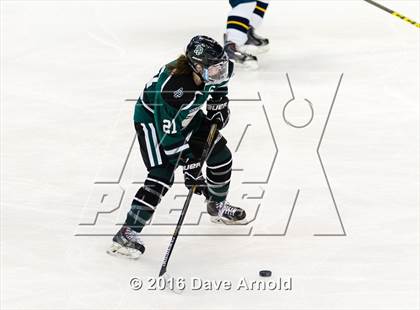 Thumbnail 2 in Austin Prep vs Arlington Catholic (MIAA Division 1 Final) photogallery.