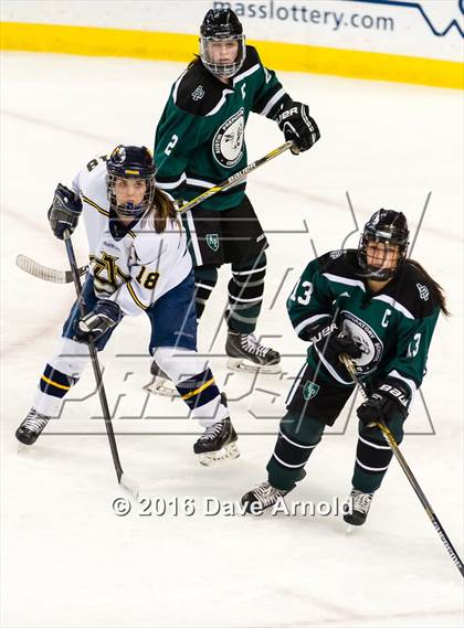 Thumbnail 3 in Austin Prep vs Arlington Catholic (MIAA Division 1 Final) photogallery.