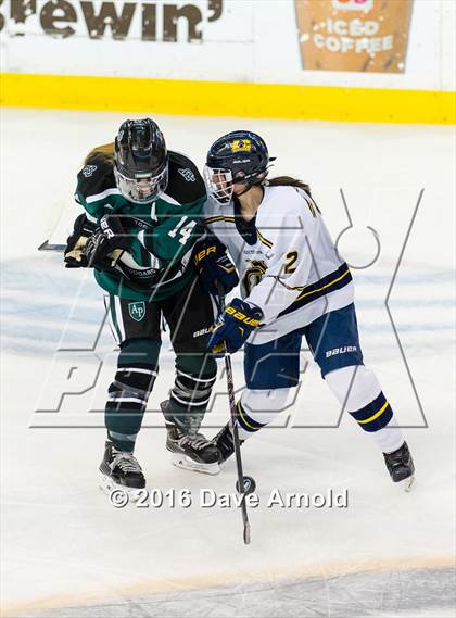 Thumbnail 2 in Austin Prep vs Arlington Catholic (MIAA Division 1 Final) photogallery.