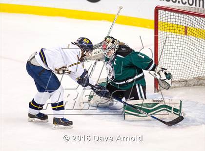Thumbnail 3 in Austin Prep vs Arlington Catholic (MIAA Division 1 Final) photogallery.