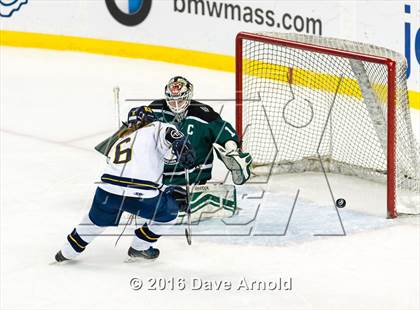 Thumbnail 3 in Austin Prep vs Arlington Catholic (MIAA Division 1 Final) photogallery.