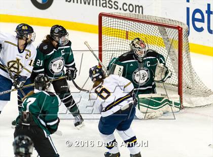 Thumbnail 3 in Austin Prep vs Arlington Catholic (MIAA Division 1 Final) photogallery.