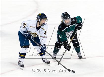 Thumbnail 3 in Austin Prep vs Arlington Catholic (MIAA Division 1 Final) photogallery.