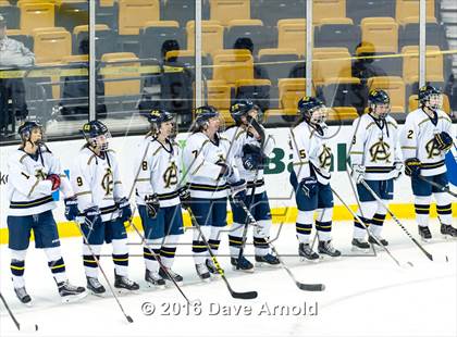 Thumbnail 1 in Austin Prep vs Arlington Catholic (MIAA Division 1 Final) photogallery.