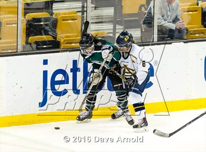 Thumbnail 2 in Austin Prep vs Arlington Catholic (MIAA Division 1 Final) photogallery.