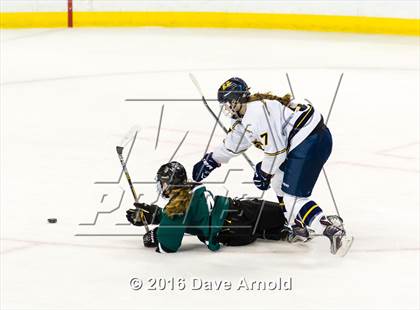 Thumbnail 3 in Austin Prep vs Arlington Catholic (MIAA Division 1 Final) photogallery.