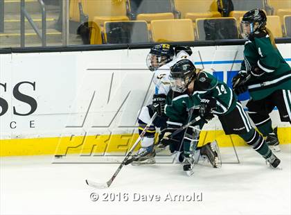Thumbnail 2 in Austin Prep vs Arlington Catholic (MIAA Division 1 Final) photogallery.