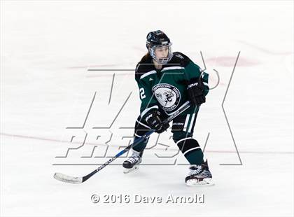 Thumbnail 2 in Austin Prep vs Arlington Catholic (MIAA Division 1 Final) photogallery.
