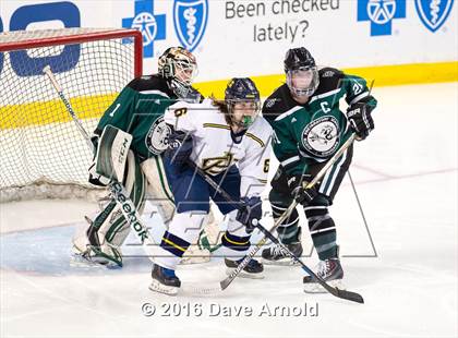 Thumbnail 2 in Austin Prep vs Arlington Catholic (MIAA Division 1 Final) photogallery.