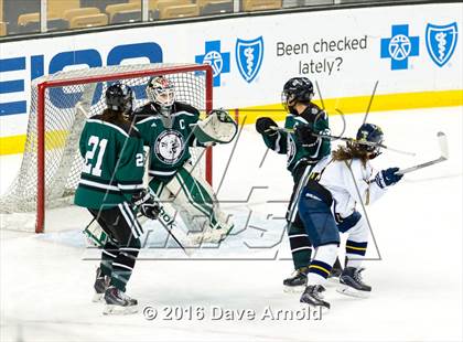Thumbnail 3 in Austin Prep vs Arlington Catholic (MIAA Division 1 Final) photogallery.