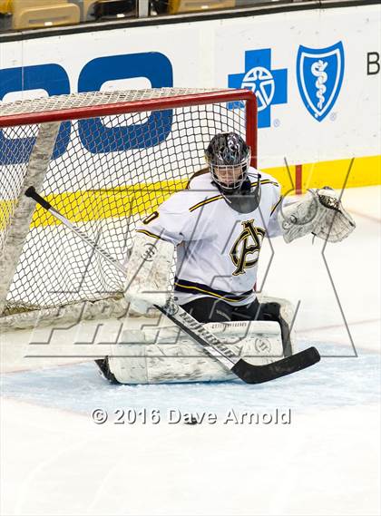 Thumbnail 2 in Austin Prep vs Arlington Catholic (MIAA Division 1 Final) photogallery.