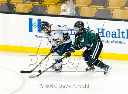 Thumbnail 1 in Austin Prep vs Arlington Catholic (MIAA Division 1 Final) photogallery.