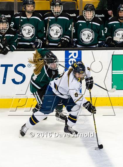 Thumbnail 1 in Austin Prep vs Arlington Catholic (MIAA Division 1 Final) photogallery.