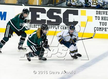 Thumbnail 3 in Austin Prep vs Arlington Catholic (MIAA Division 1 Final) photogallery.
