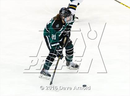 Thumbnail 1 in Austin Prep vs Arlington Catholic (MIAA Division 1 Final) photogallery.