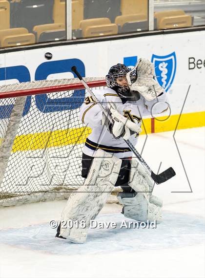 Thumbnail 2 in Austin Prep vs Arlington Catholic (MIAA Division 1 Final) photogallery.