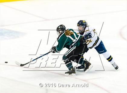 Thumbnail 2 in Austin Prep vs Arlington Catholic (MIAA Division 1 Final) photogallery.