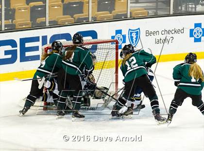 Thumbnail 3 in Austin Prep vs Arlington Catholic (MIAA Division 1 Final) photogallery.