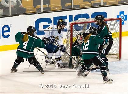Thumbnail 1 in Austin Prep vs Arlington Catholic (MIAA Division 1 Final) photogallery.