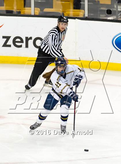 Thumbnail 2 in Austin Prep vs Arlington Catholic (MIAA Division 1 Final) photogallery.